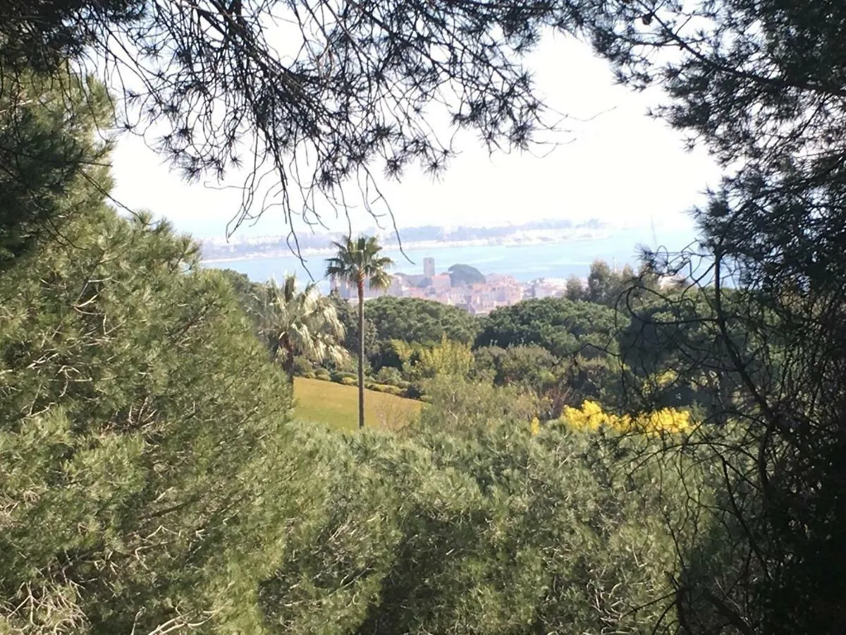 Residence Barri Cannes